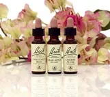 Florais de Bach — Byoderma